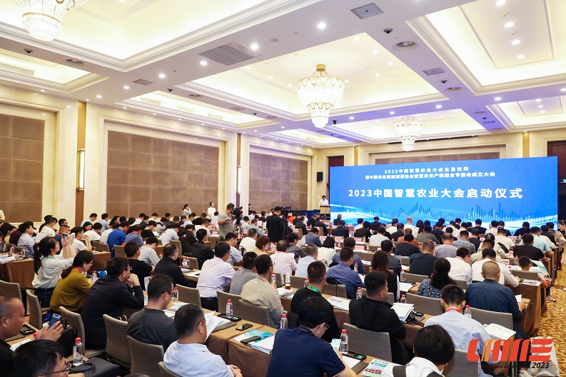 M88-M88体育(中国集团)官方网站