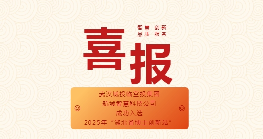 武汉城投集团 
