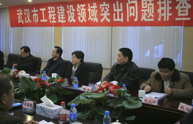 中央治理工程建设领域突出问题事情小组向导检查天兴洲长江大桥等工程-党风廉政-武汉城投集团 