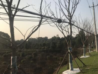 M88-M88体育(中国集团)官方网站