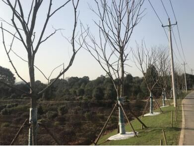 M88-M88体育(中国集团)官方网站