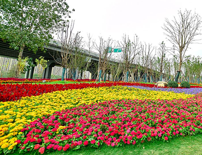 M88-M88体育(中国集团)官方网站